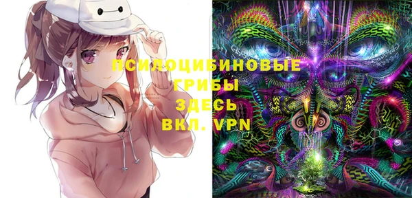 дмт Армянск