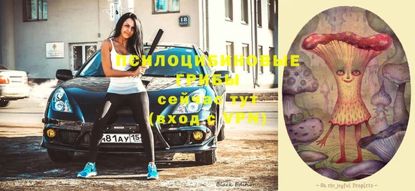 дмт Армянск