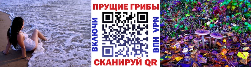 ОМГ ОМГ как зайти  где купить наркоту  Ветлуга  Псилоцибиновые грибы ЛСД 