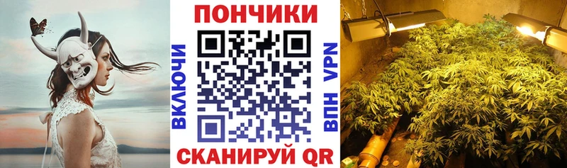 Бошки Шишки Ganja  Ветлуга 